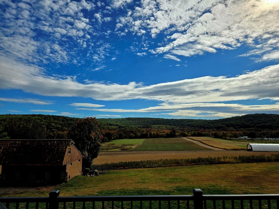 View from property