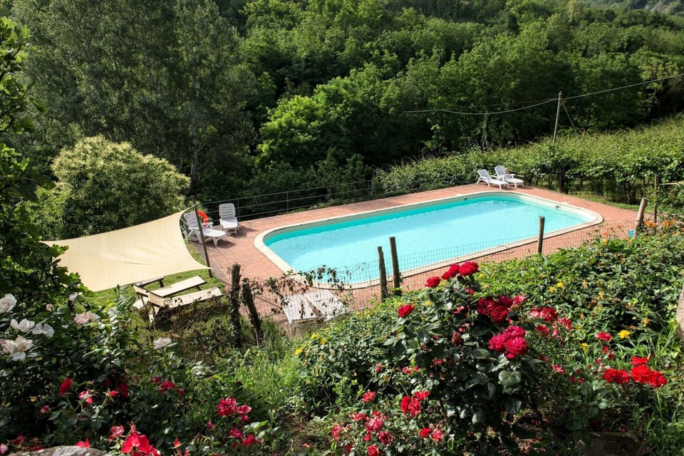 Holiday Home Swimming Pool