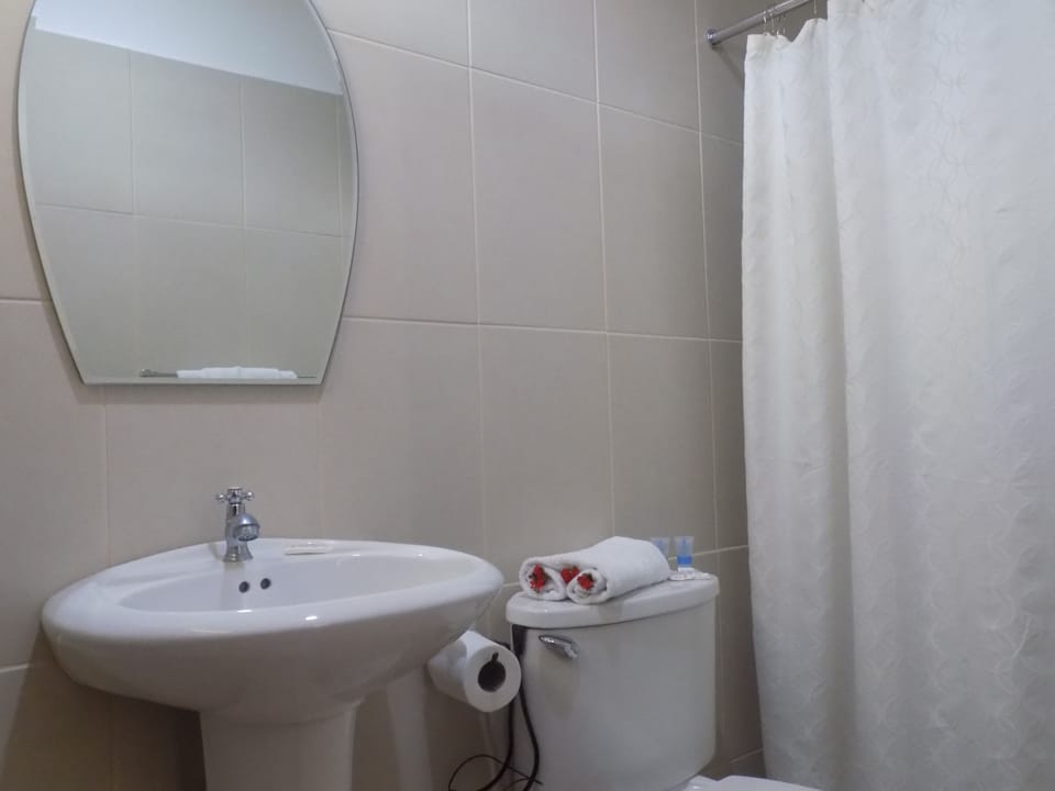 Standard Double Room | Bathroom | Shower, free toiletries, towels