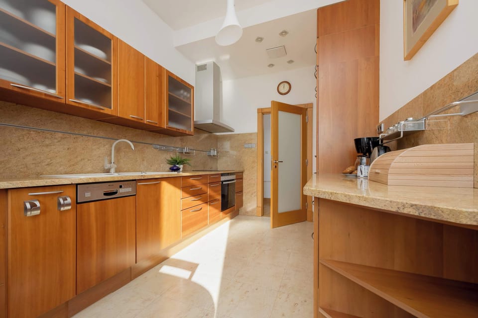 Fully equipped kitchenette with induction cooktop, oven, refrigerator, freezer, dishwasher, coffee machine and electric kettle.