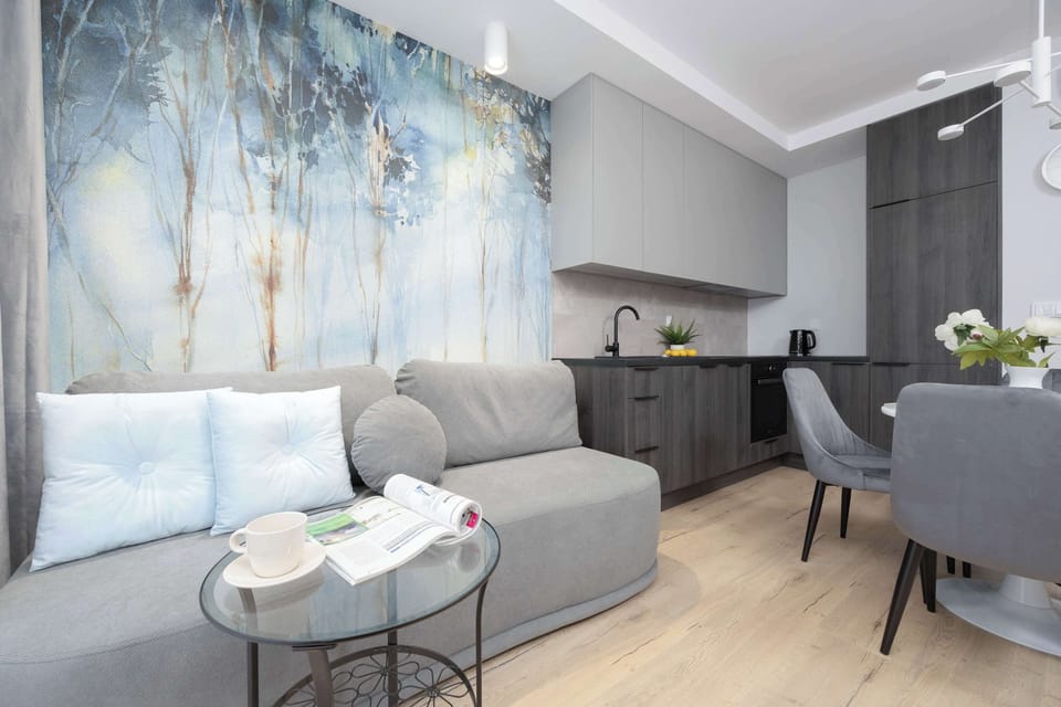 Living room with a double sofa bed, TV and fully equipped kitchenette.
