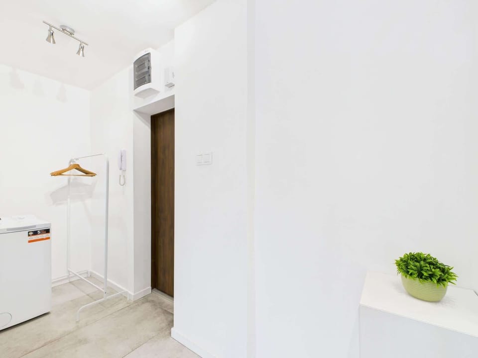 A minimalist entryway with a white wardrobe and a small green plant, adding warmth and simplicity to the space.