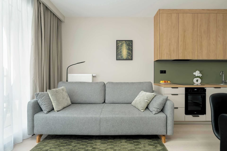 Living room with a comfortable gray sofa bed, perfect for relaxing.