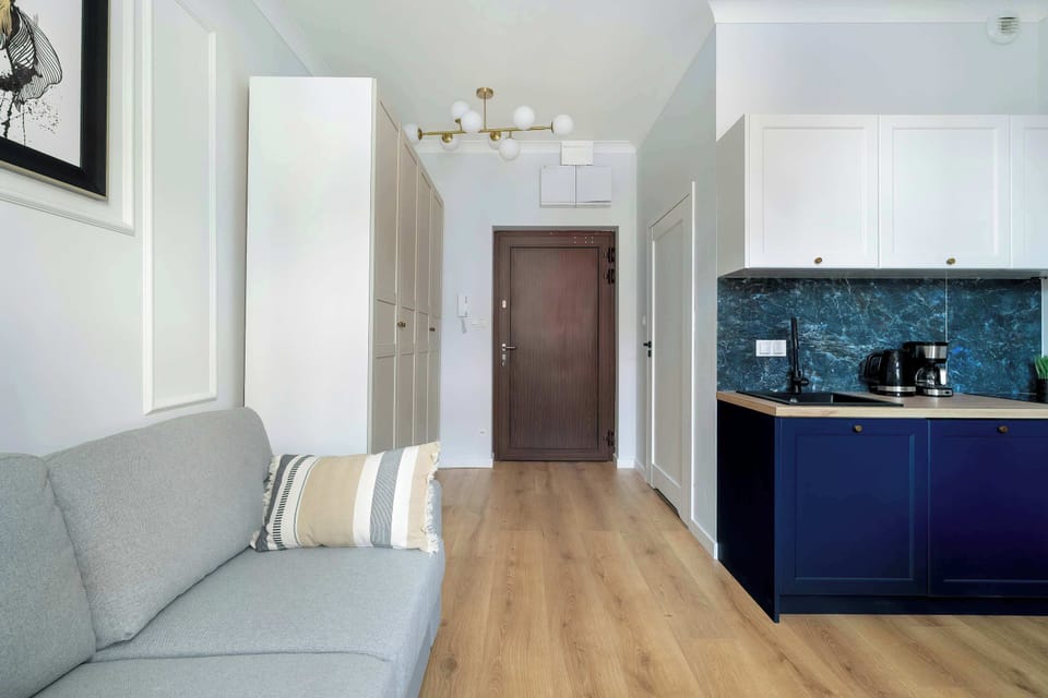 Studio with sofa bed, closet and fully equipped kitchenette.