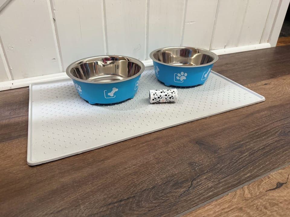 Dog dishes for family pets.