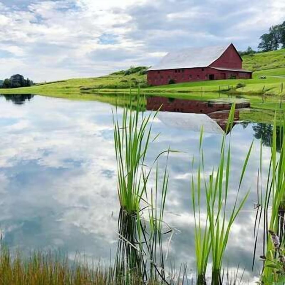 Surrounded by the beautiful countryside, guests have access to the fishing pond located directly on the property.