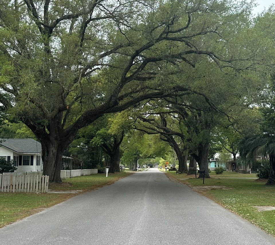 beautiful street view