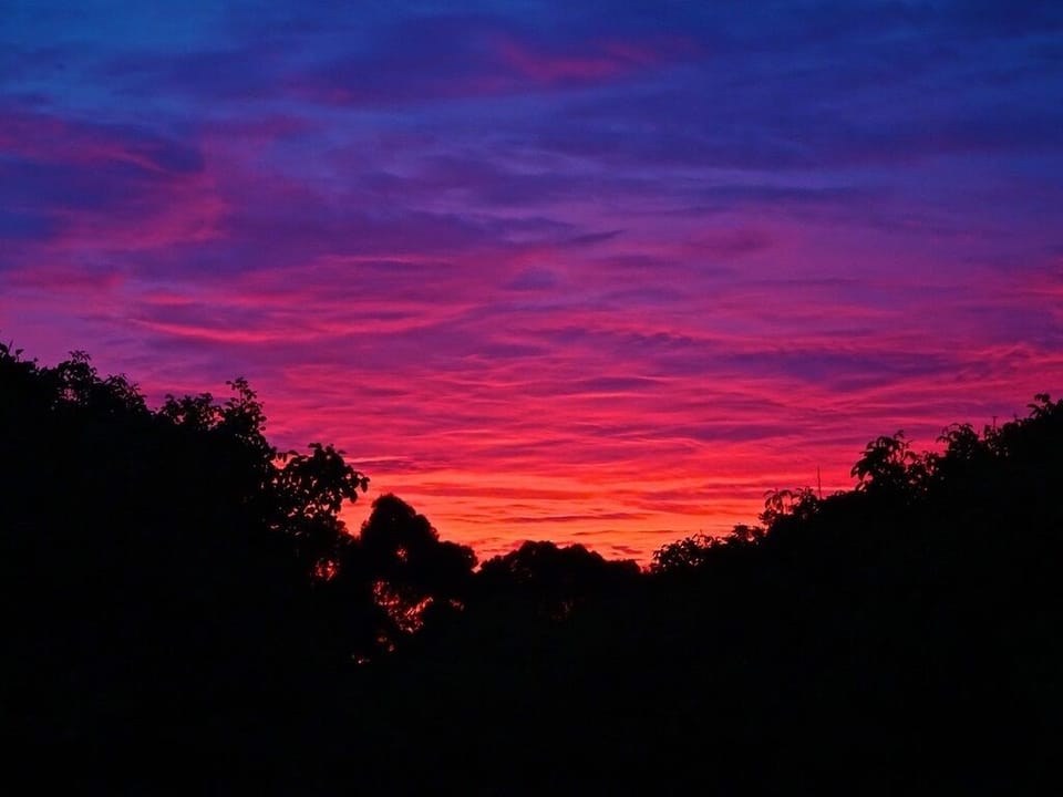 Quiet location, starry nights and birdsong at dawn