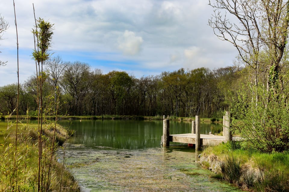 Walk to Wildlife Pond at Callestock