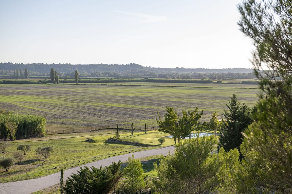 Alpilles view