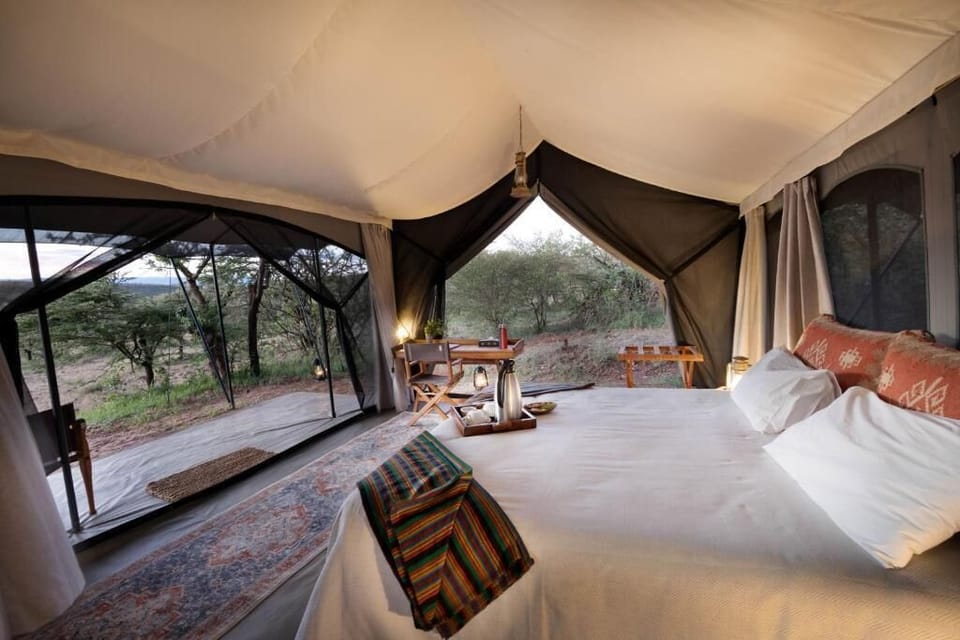 Family Tent | Laptop workspace, free WiFi