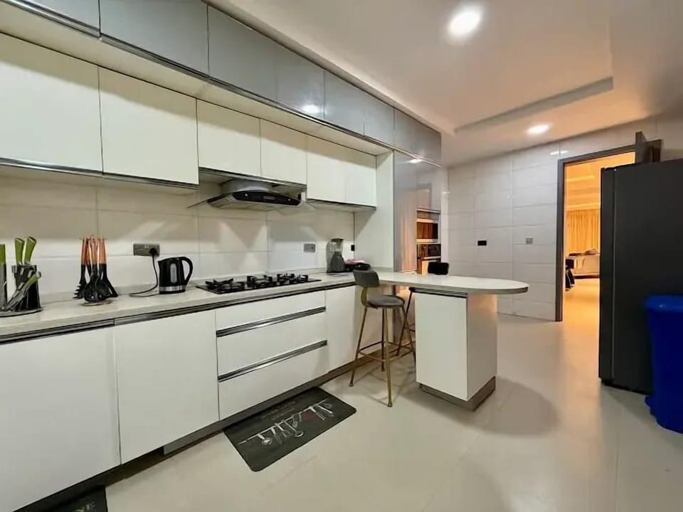 Economy Apartment, Balcony, City View | Private kitchen | Fridge, microwave, oven, stovetop