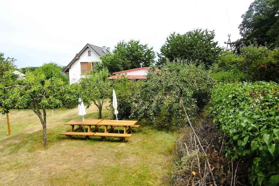 Garden [summer]