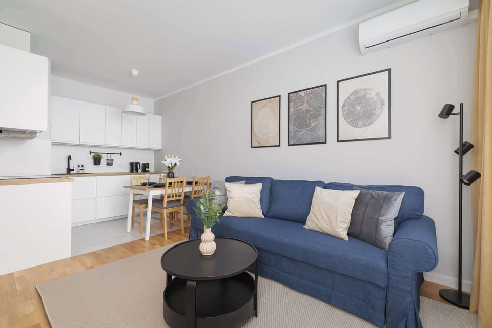 Elegant and modern living room with dark blue double sofa bed, black coffee table and kitchenette.