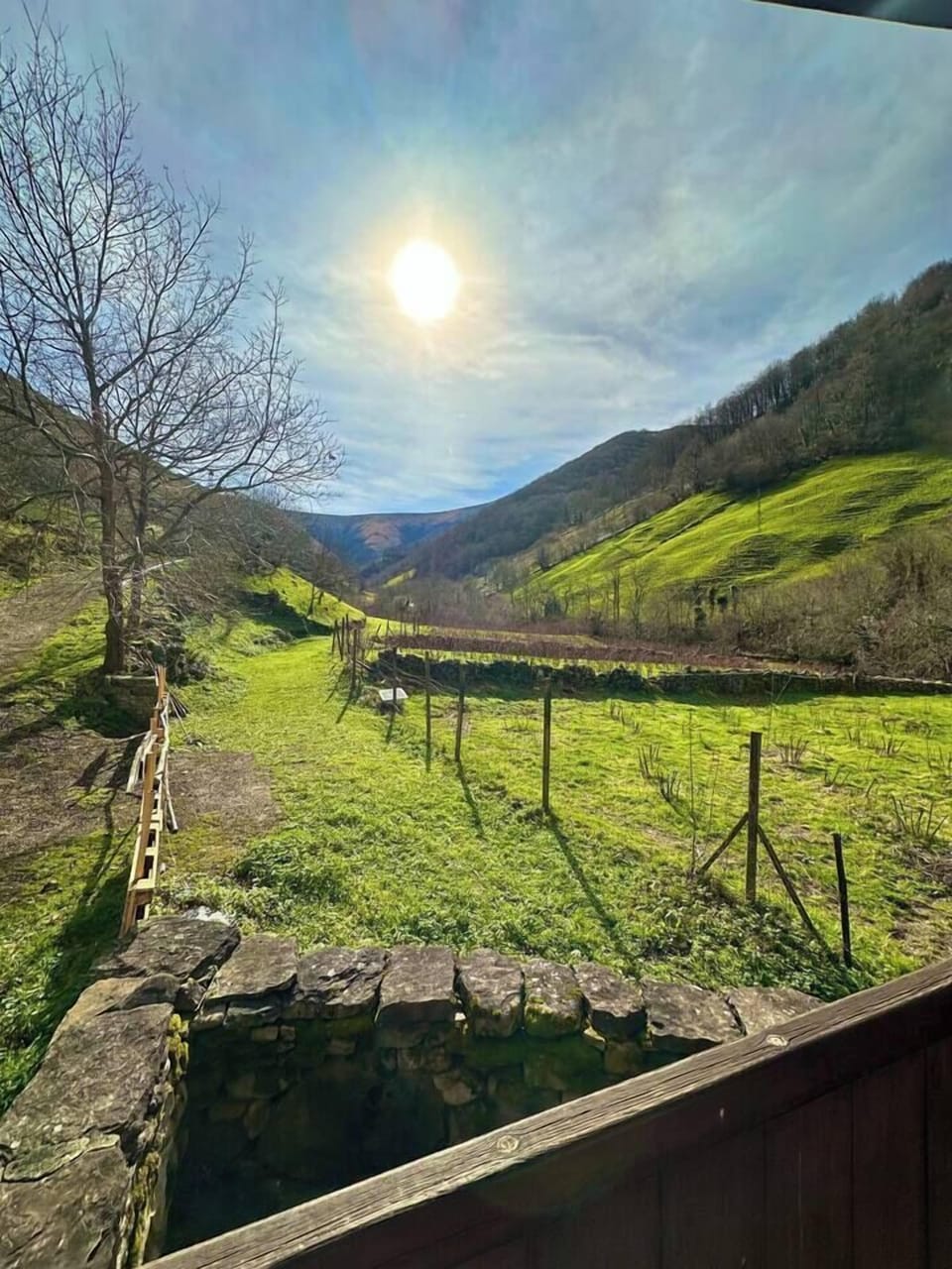 View from property