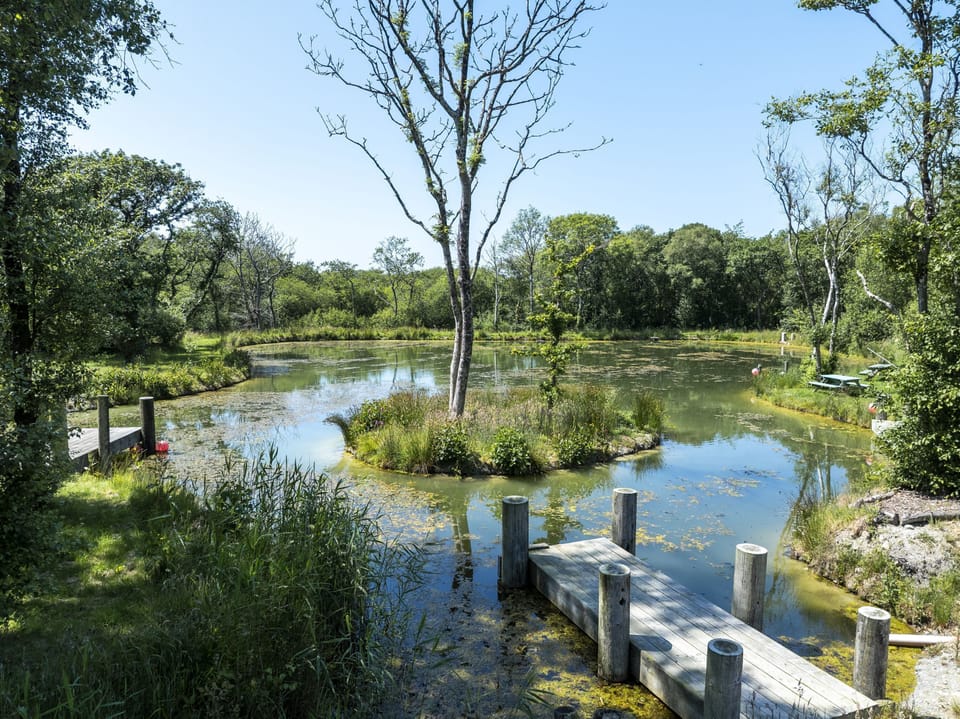 Callestock Courtyard Wildlife Pond