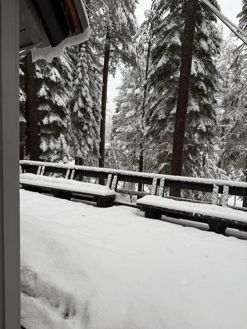 front deck