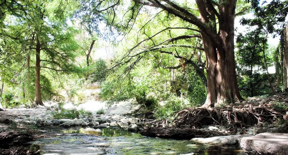 Walking distance to Waller Creek