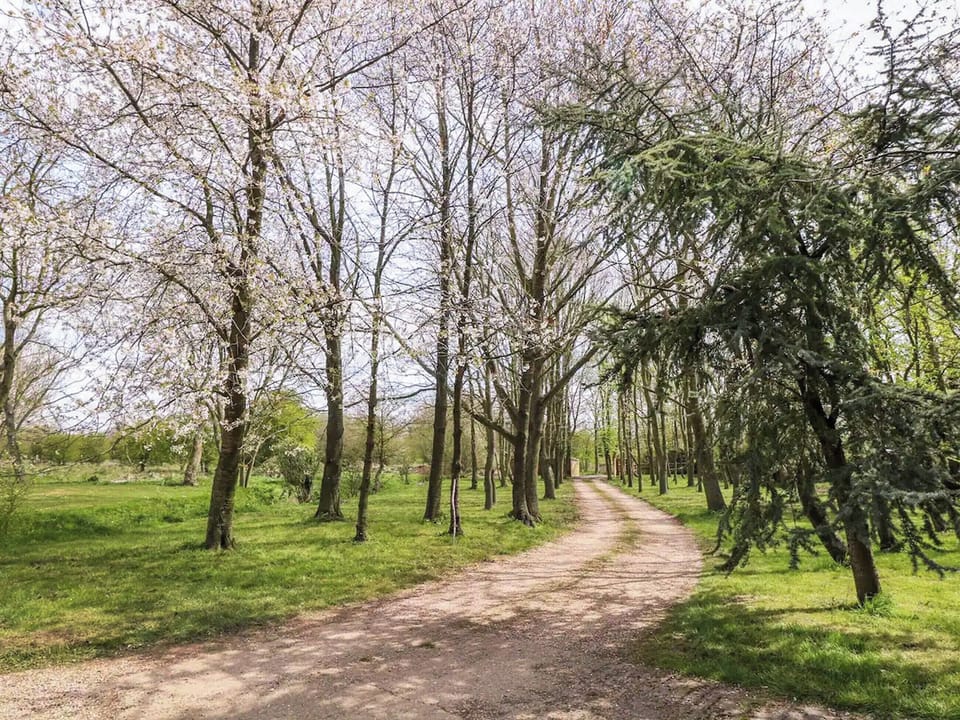 Surrounding area | The Farmhouse - Waterloo Place, Tibenham
