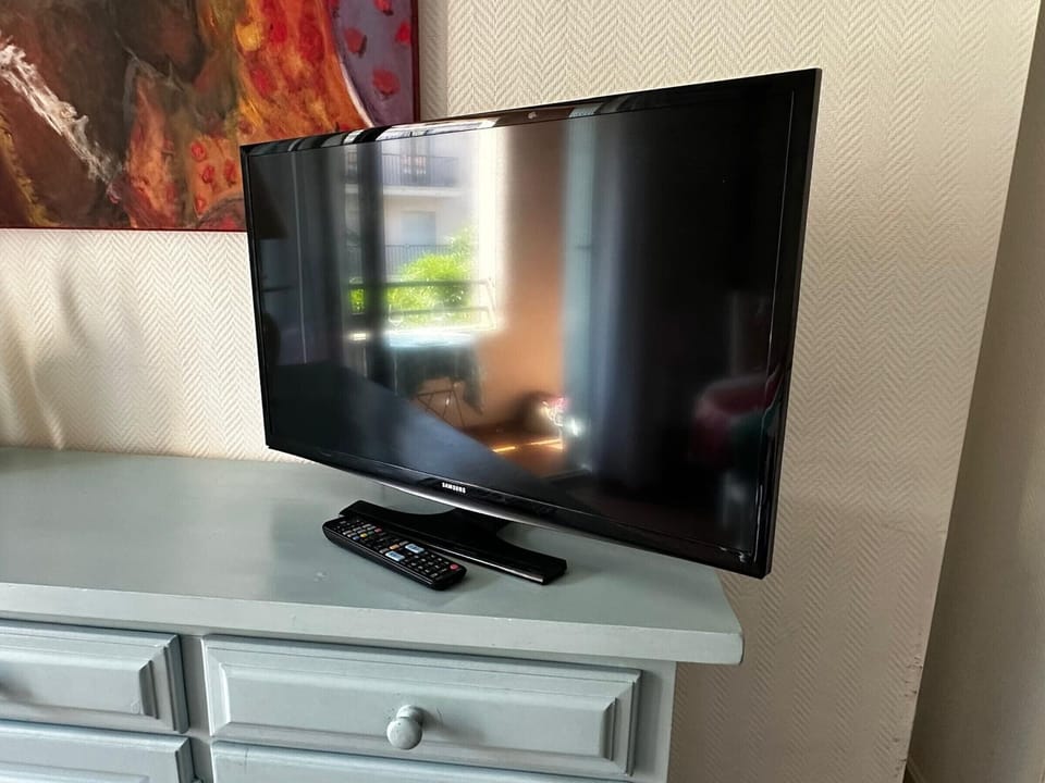 Television