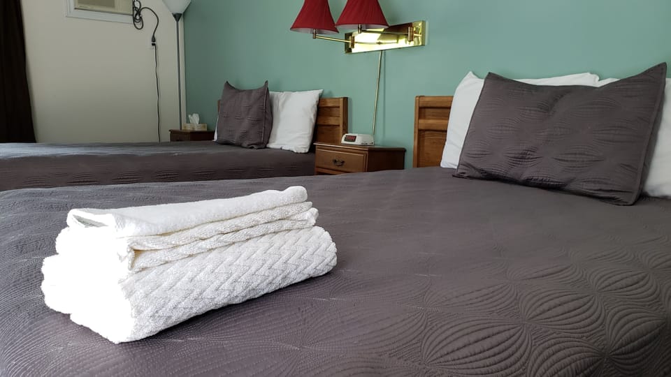 Double Suite - Deluxe | Individually furnished, laptop workspace, iron/ironing board, free WiFi