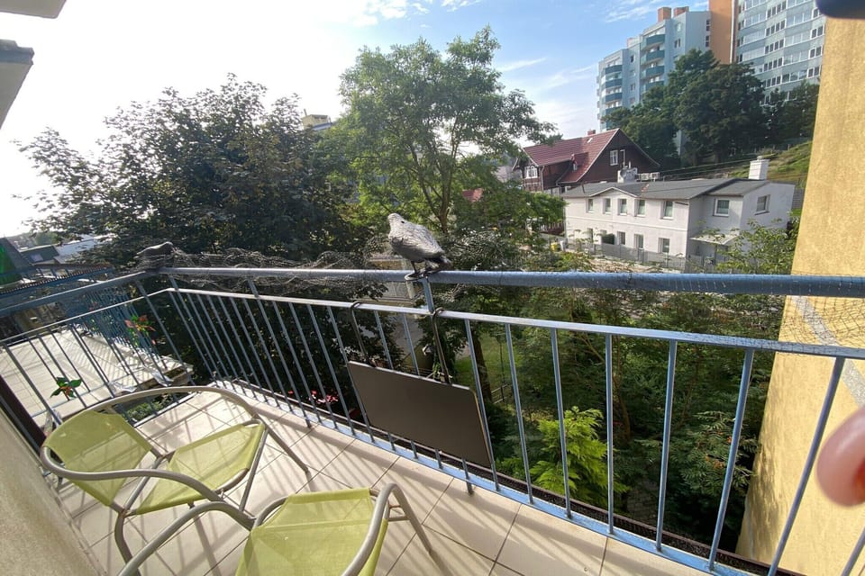 View from Holiday Home [summer]