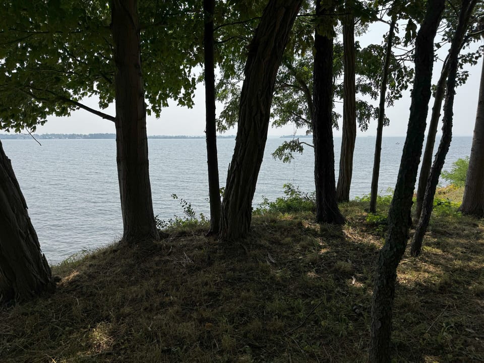 Picnic Area above Shoreline