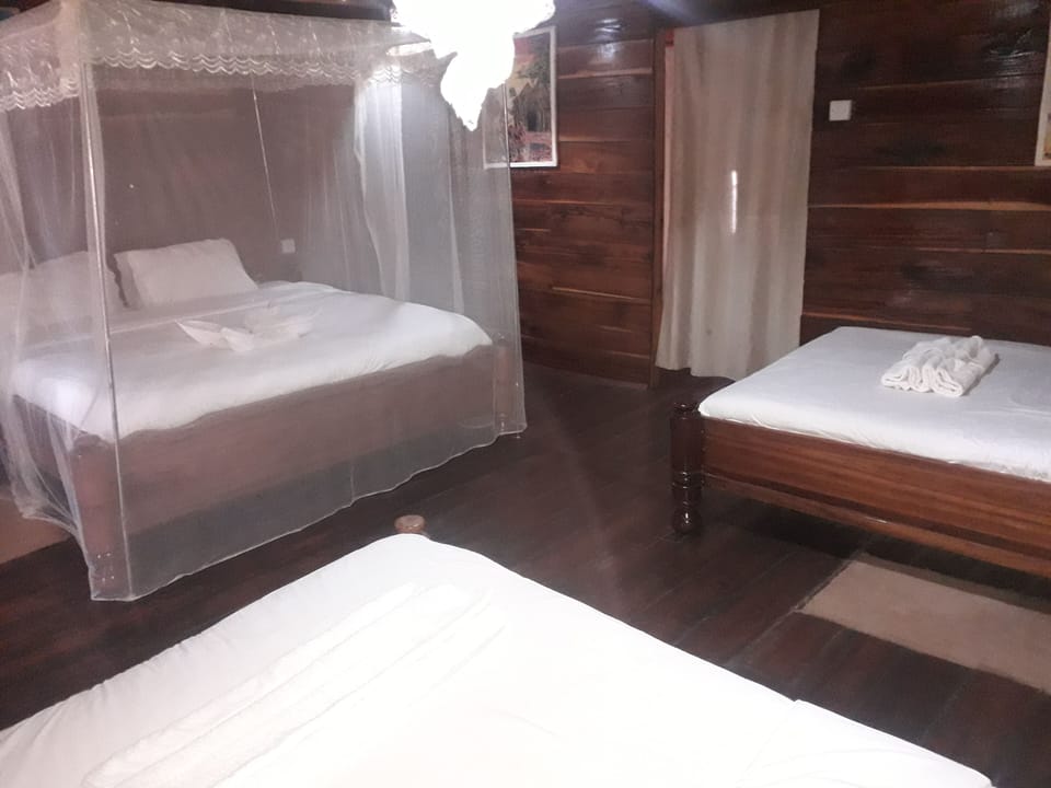 Comfort Triple Room, Balcony, Park View | Laptop workspace