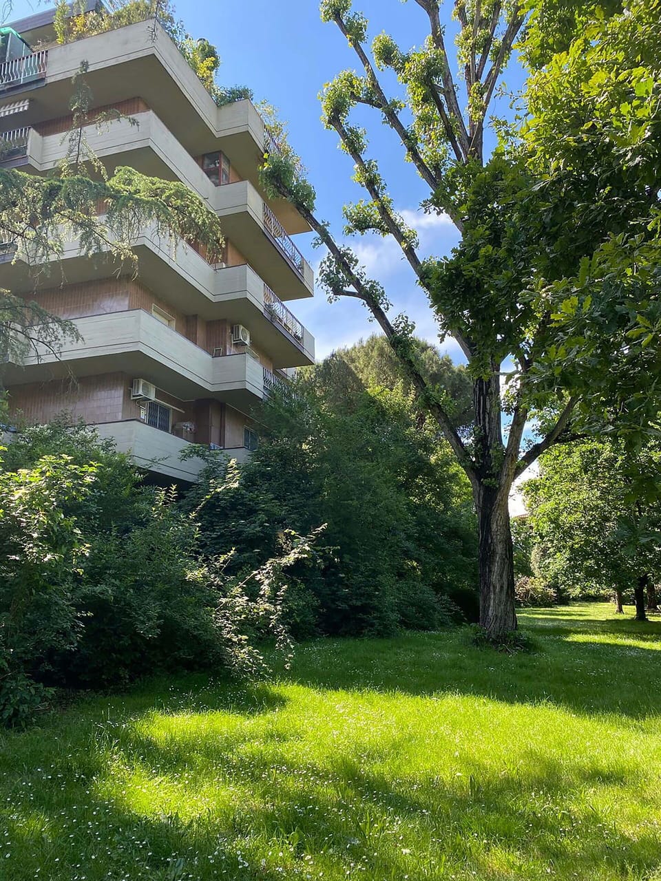 Vegetation, Shrub, Apartment, Garden, Condominium, Landscaping, Evergreen