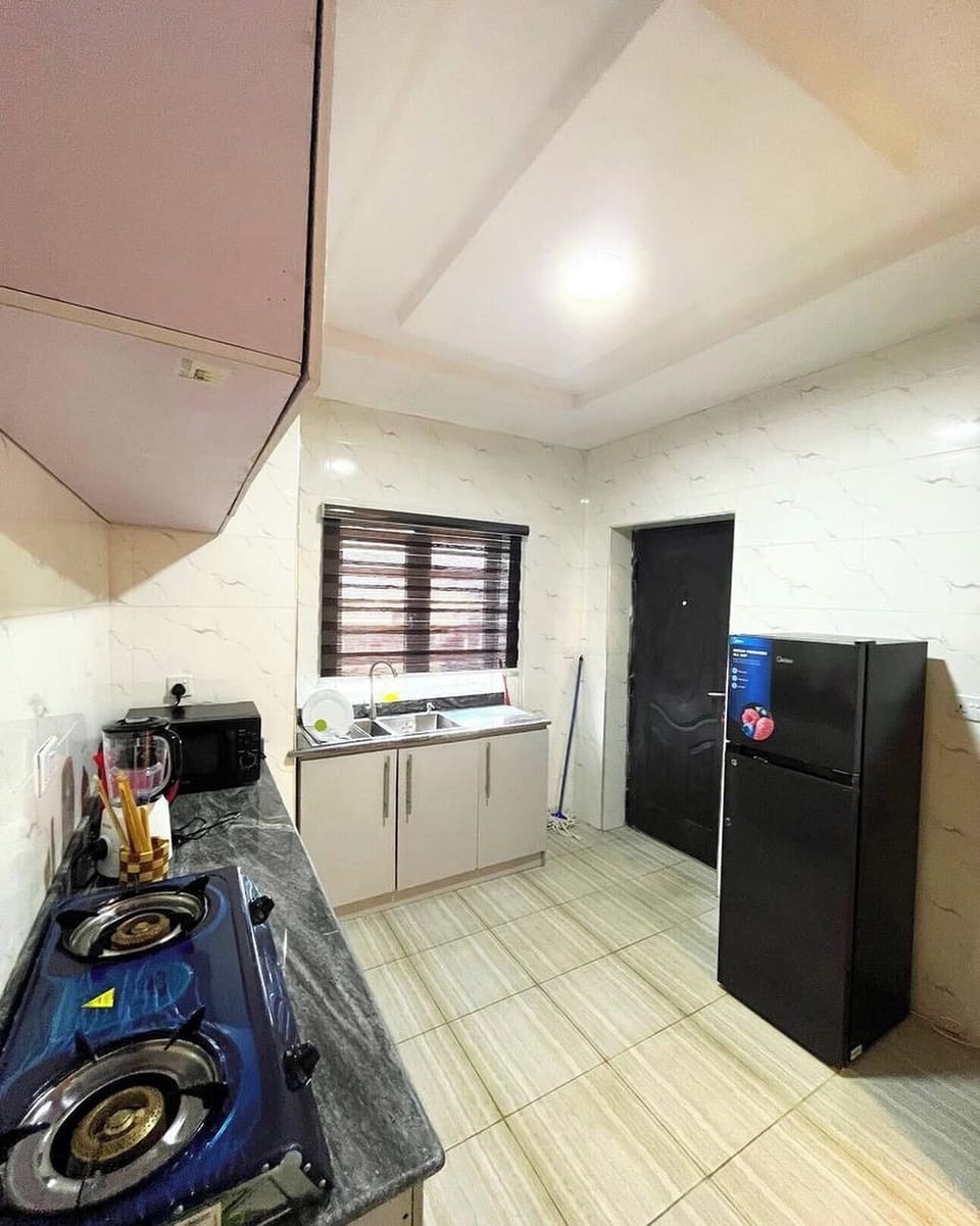Family Apartment, Balcony, City View | Private kitchen | Fridge, microwave, oven, stovetop
