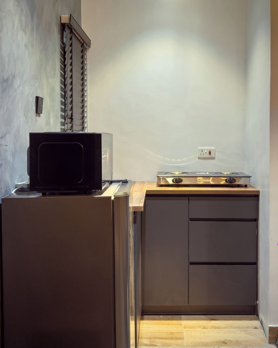 Family Apartment, Balcony, City View | Private kitchen | Fridge, microwave, oven, stovetop