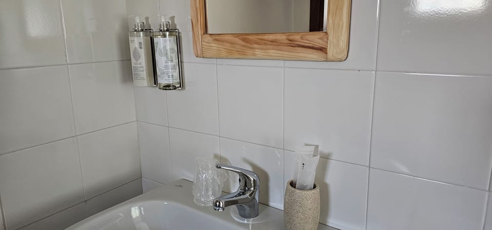 Standard Room, Mountain View | Bathroom | Shower, hair dryer, towels, soap