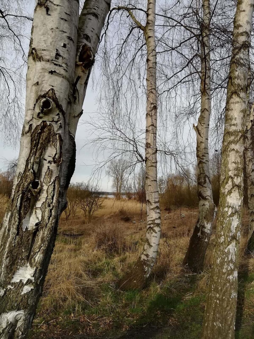 Miscellaneous