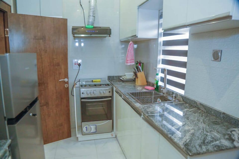Family Apartment, Balcony, City View | Private kitchen | Fridge, microwave, oven, stovetop
