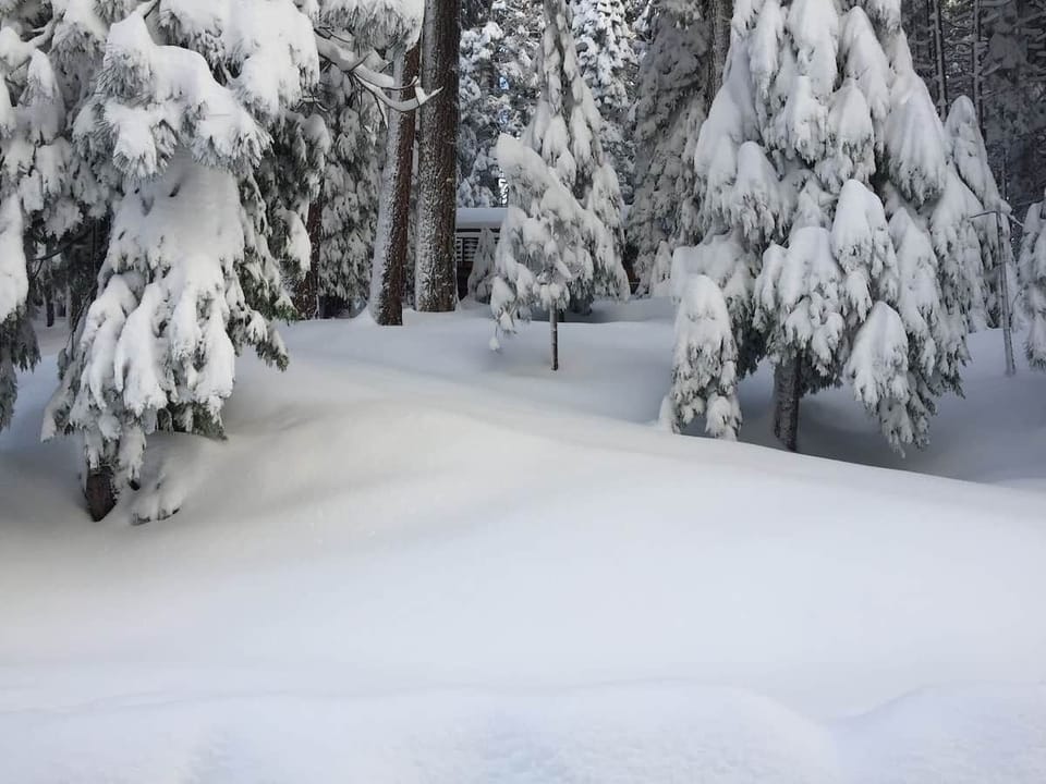 After a huge snowstorm, the driveway and cabin nearly vanish from the road.