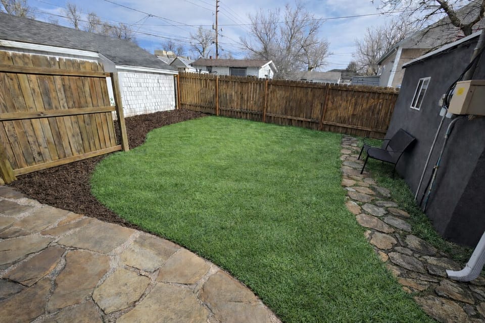 Back yard