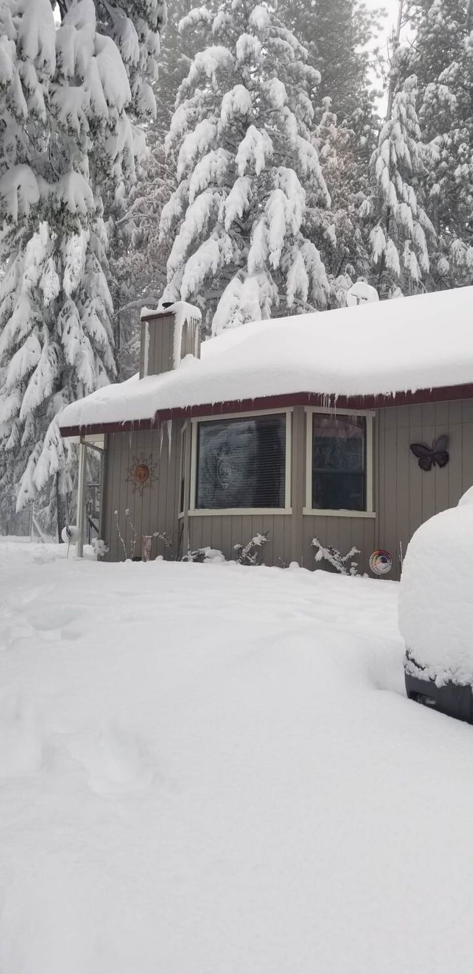 snow in the winter
