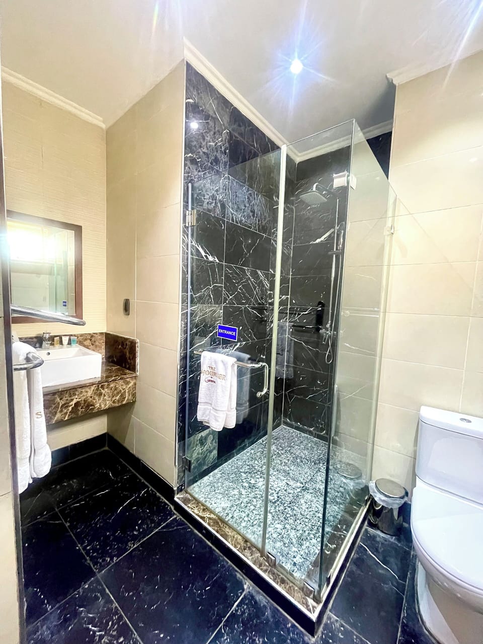 Deluxe Room | Bathroom | Shower, free toiletries, towels