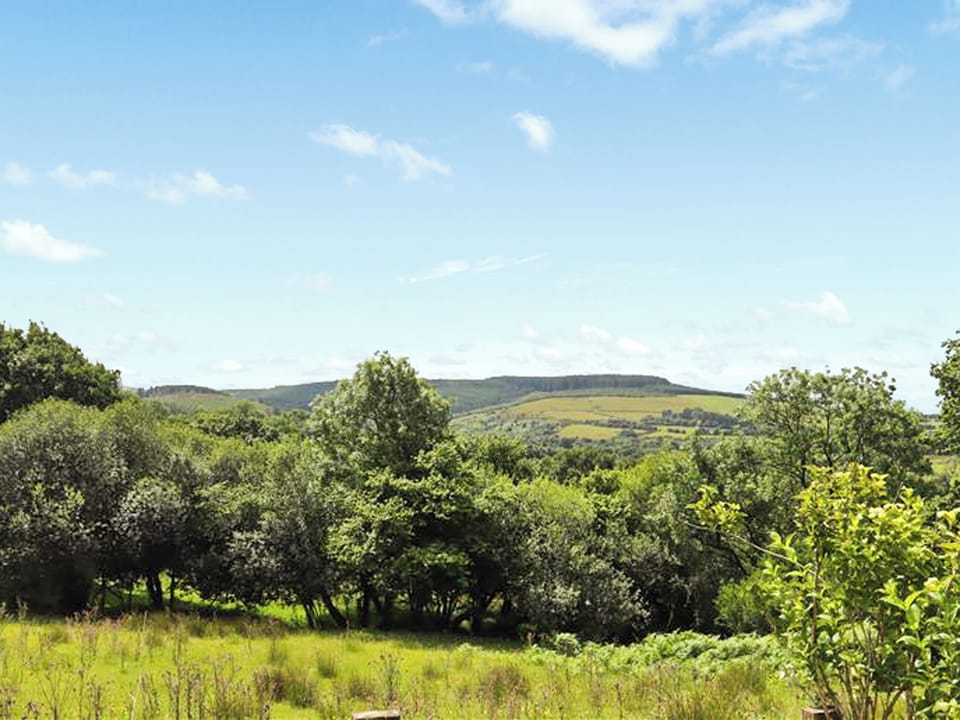 Surrounding area | Farm House - Llwyndryssi Retreats, Llandeilo