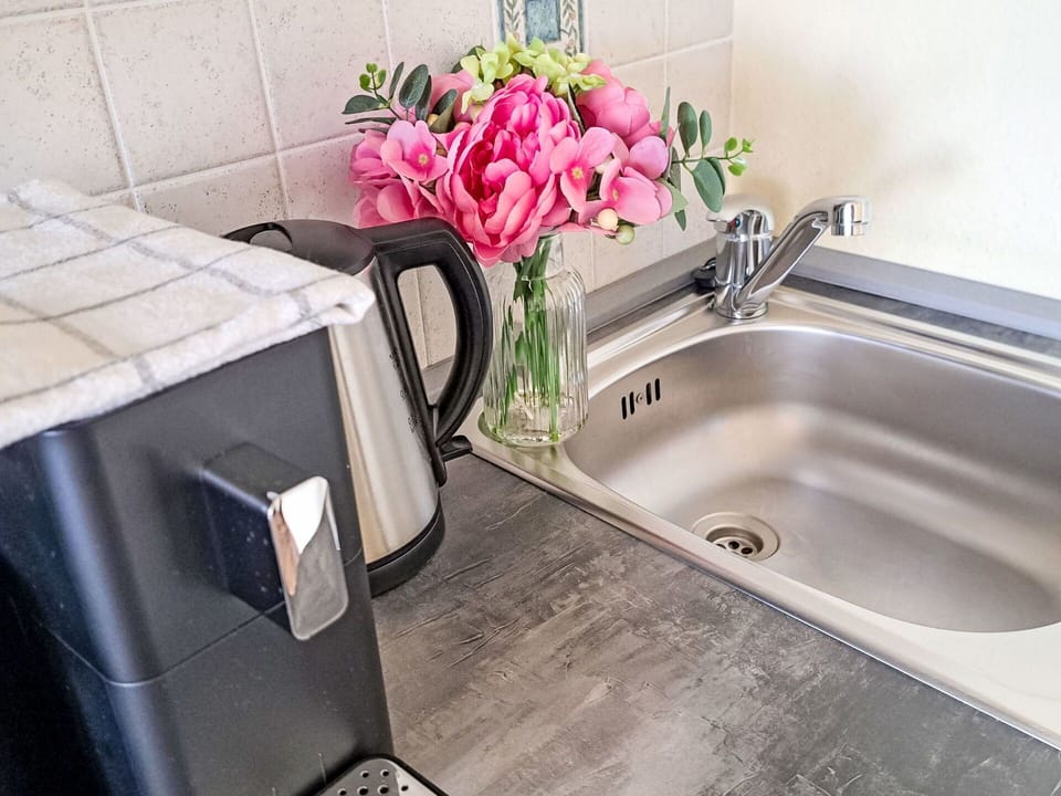 Kitchen Sink, Plumbing Fixture, Tap, Sink, Kitchen Appliance, Kitchen, Plumbing, Home Appliance, Countertop