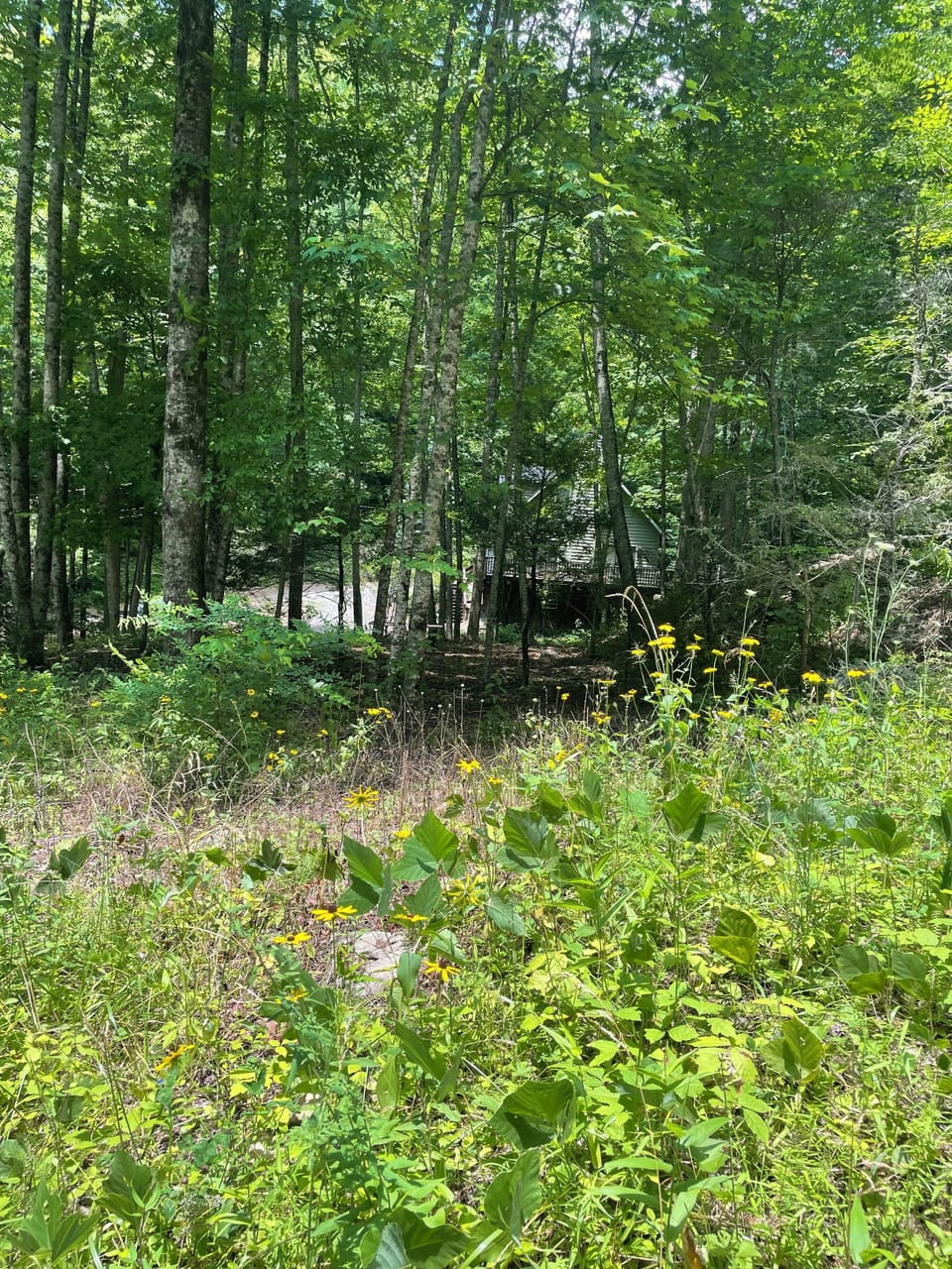 View from road