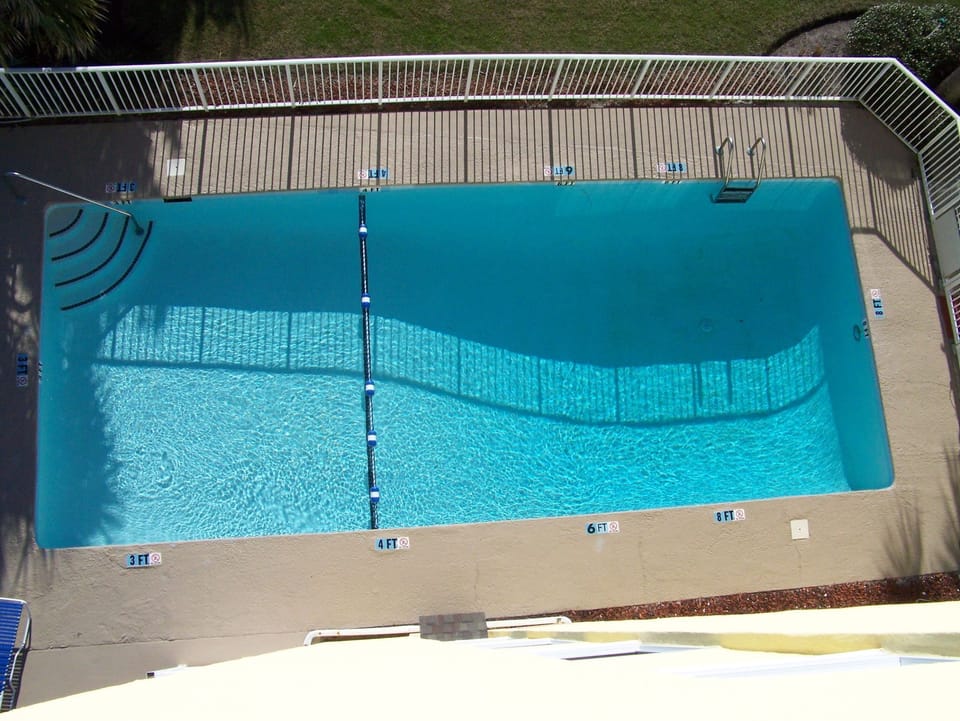 Cool off in the sparkling outdoor pool surrounded by palm trees.