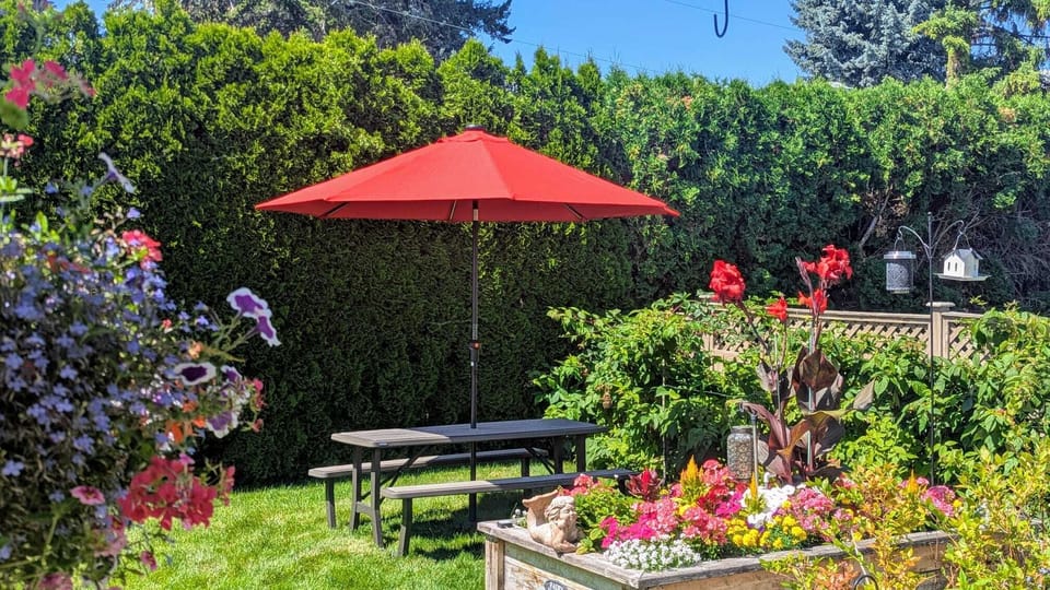 Backyard (table only available during summer)