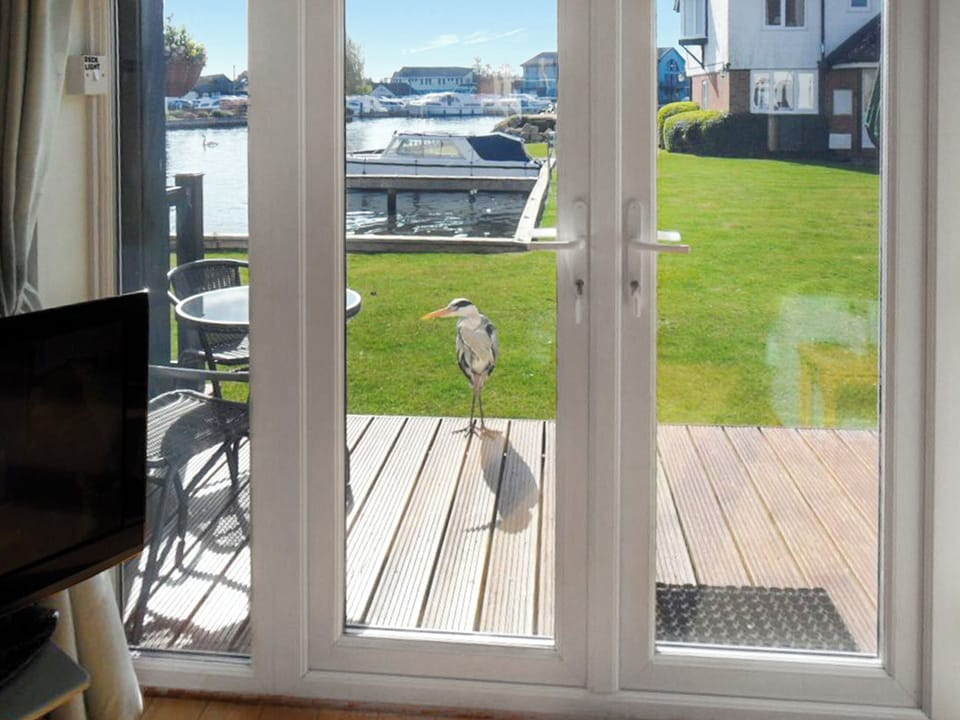 View | Blackfriars, Wroxham