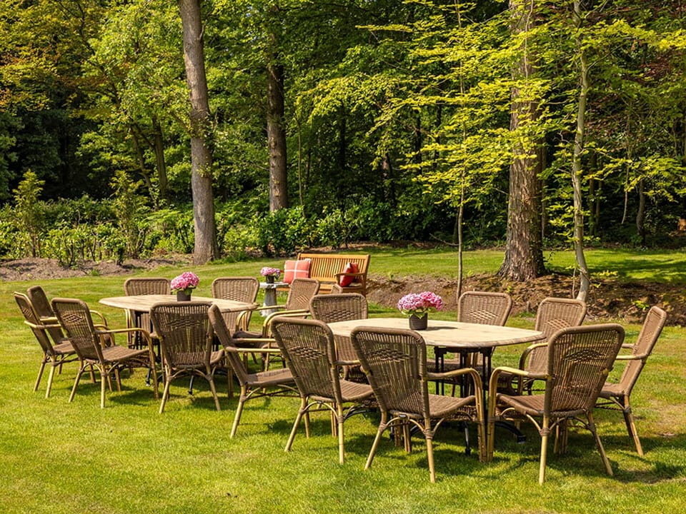 Furniture, Outdoor Furniture, Chair, Outdoor Table, Garden, Groundcover, Lawn, Wicker, Backyard, Patio