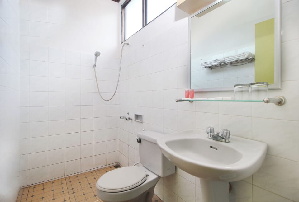 Towels, soap, shampoo, toilet paper
