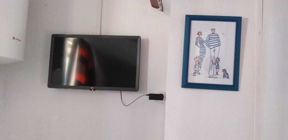 Television