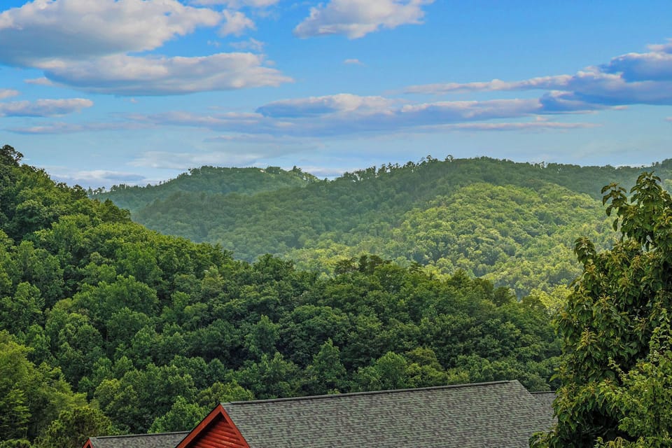 bearly-high-views-29