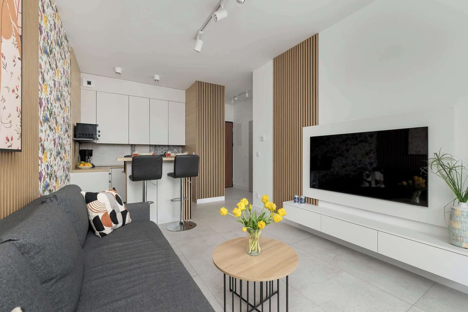 Lounge area with a sofa bed, TV and kitchenette with dining area.