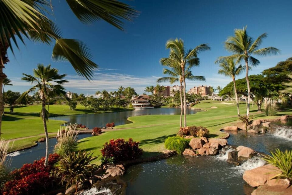 Your gateway to Oʻahu’s stunning lagoons and walking paths